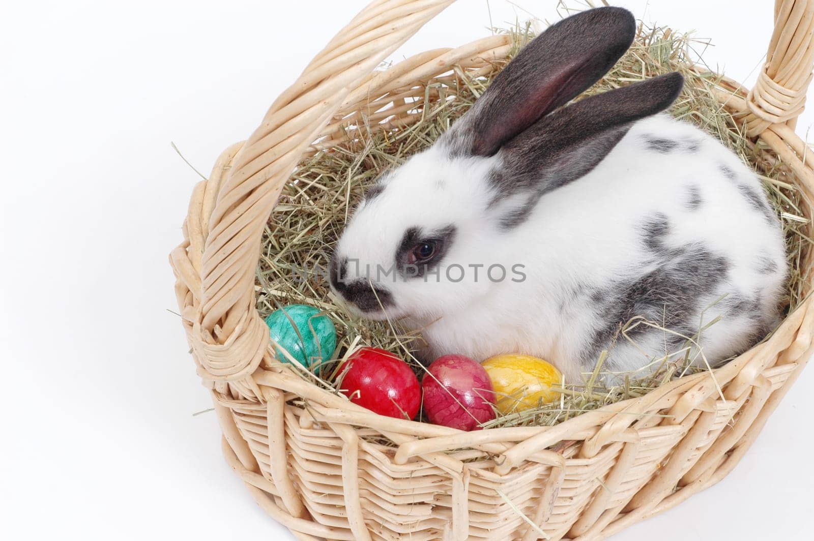 In the Easter basket