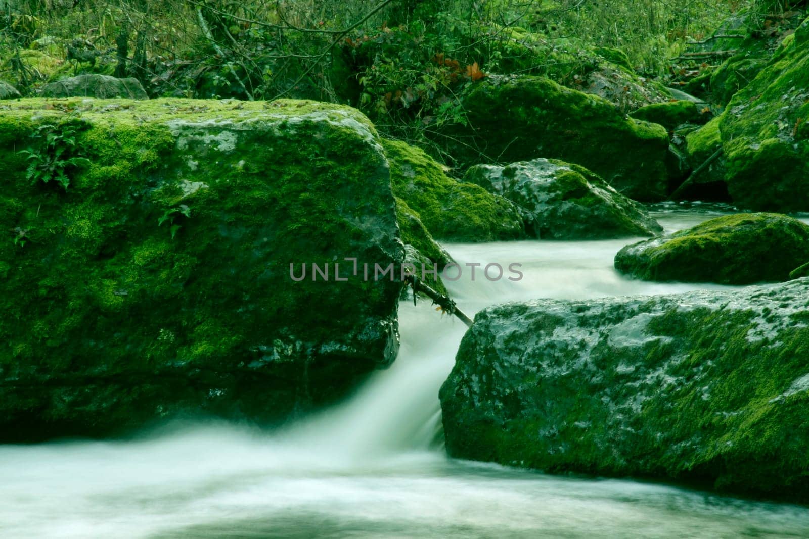 River with rocks