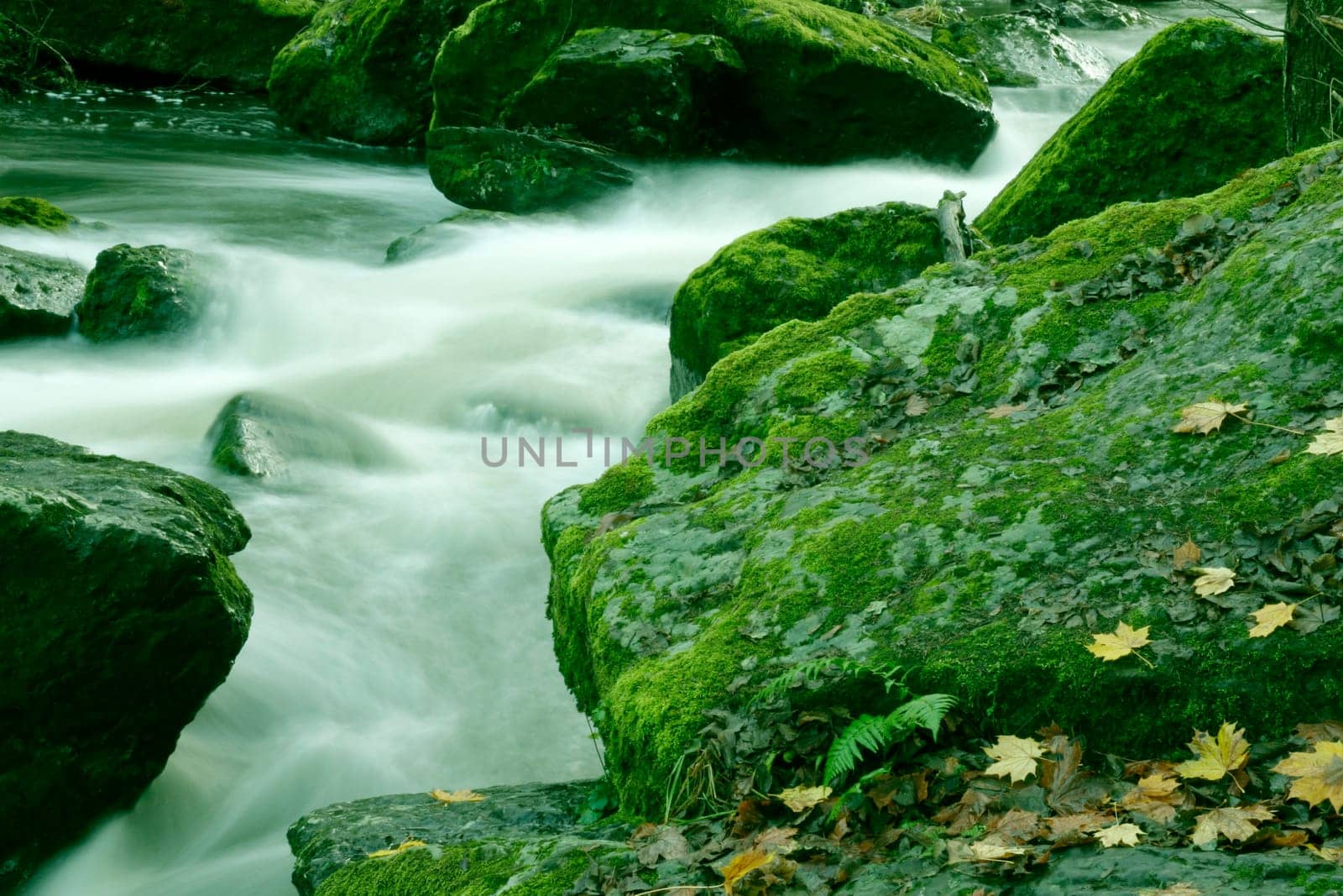 River with rocks