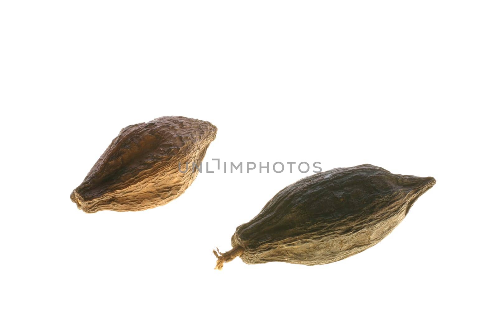cocoa beans