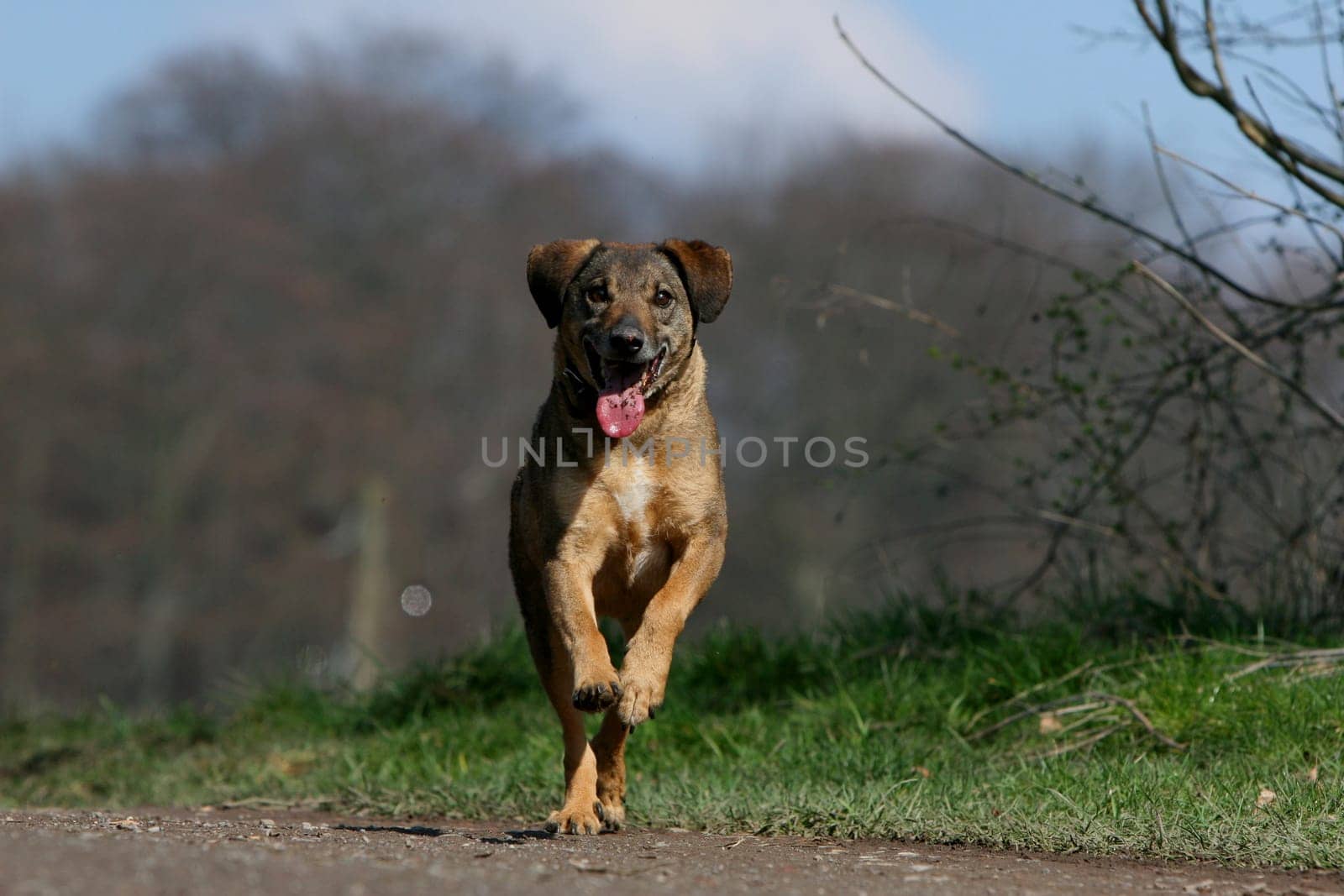 I want the stick