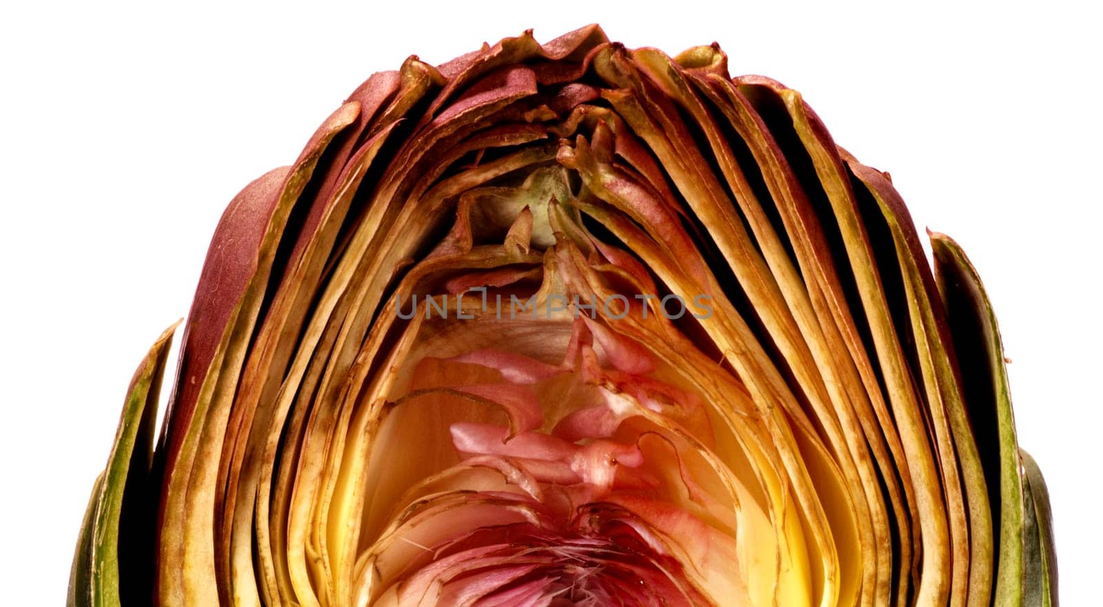 Artichoke
