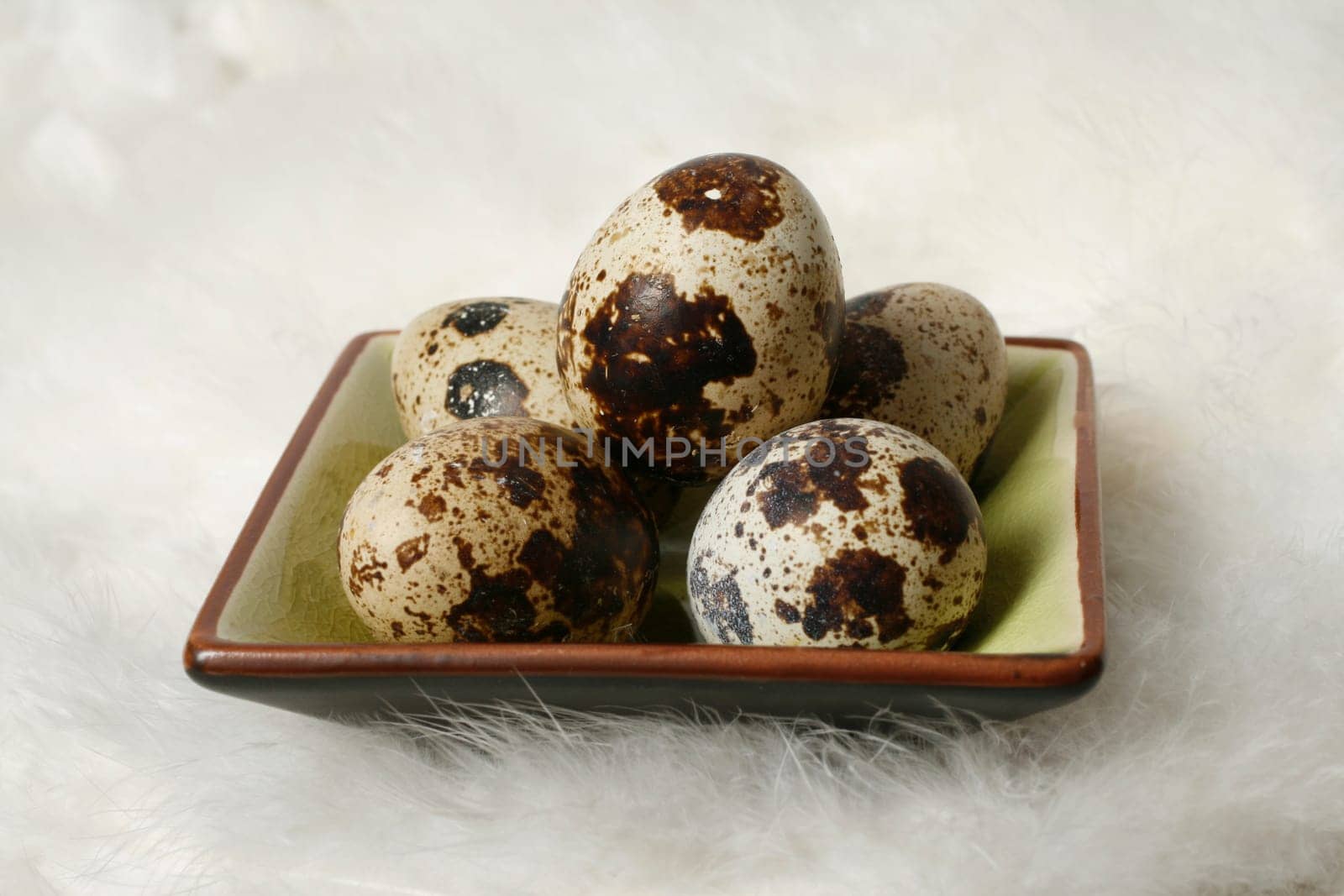 Quail eggs