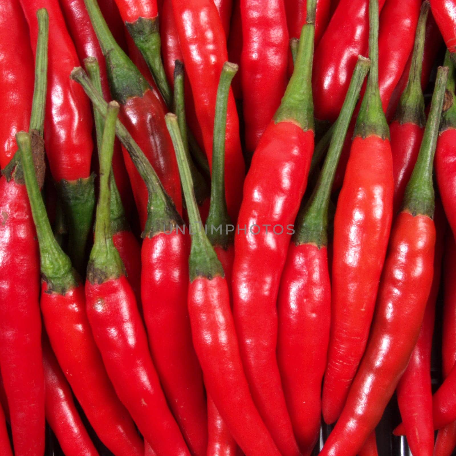 Chilli