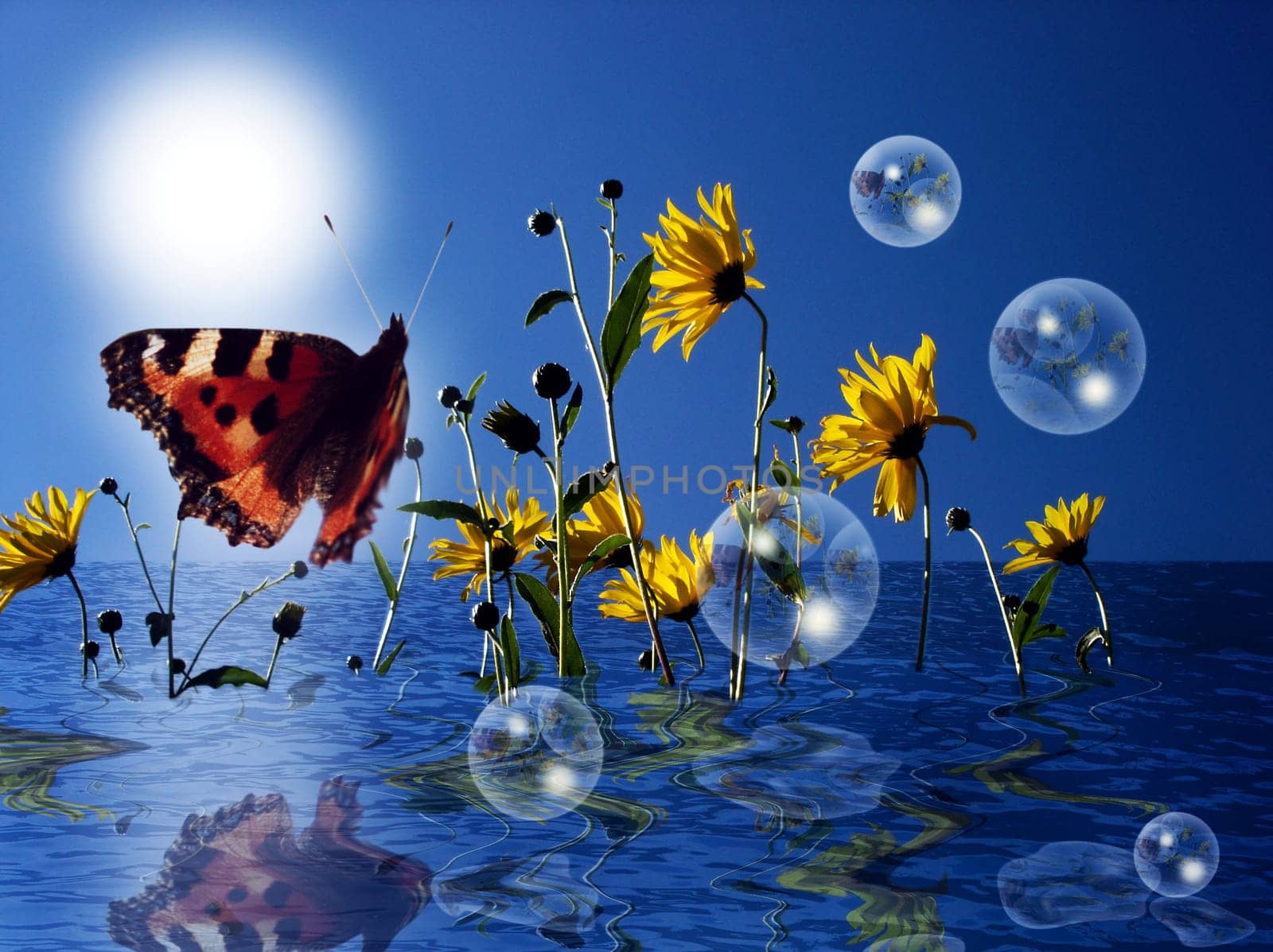 Imagination