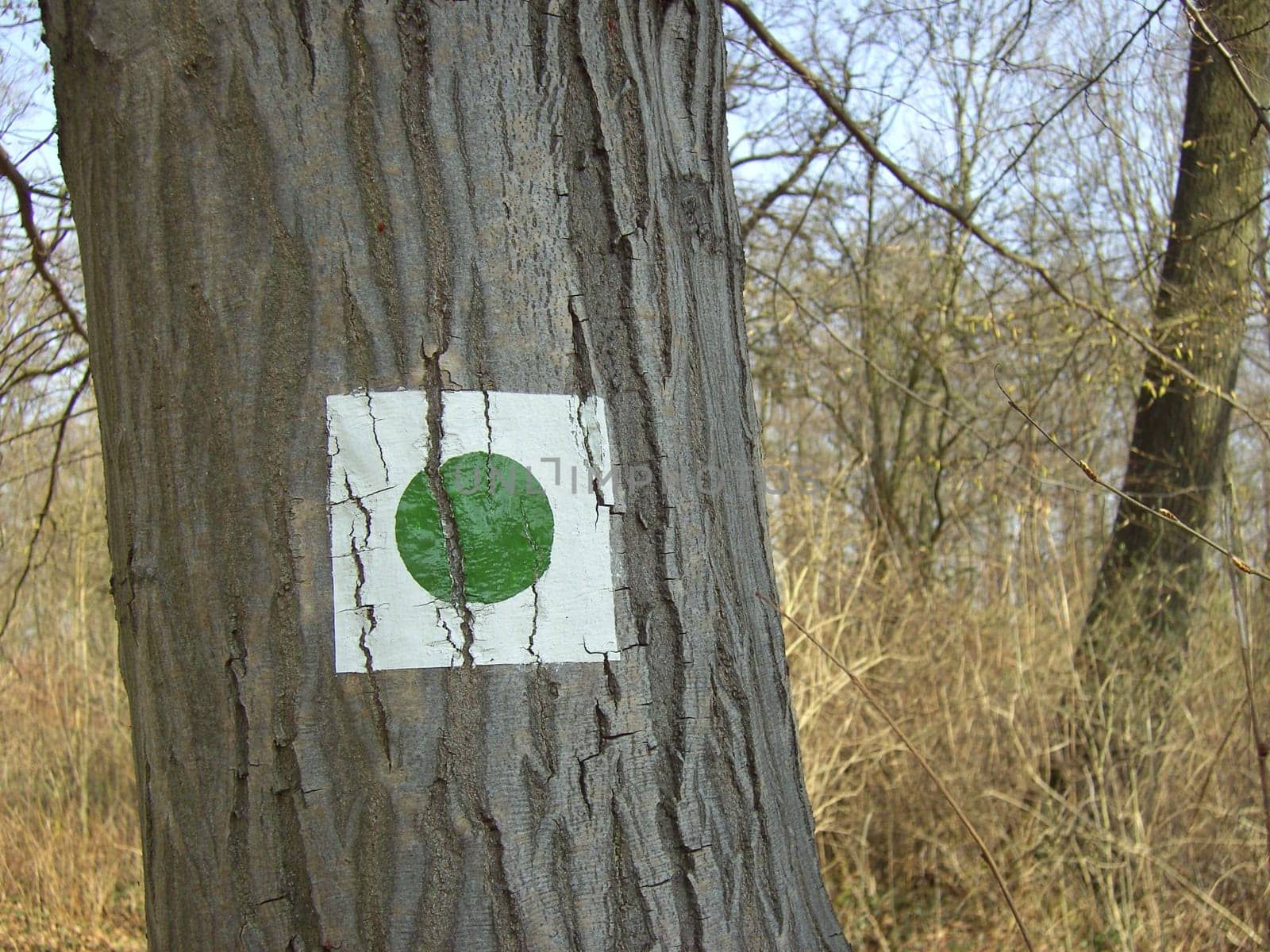 Trail marking 1