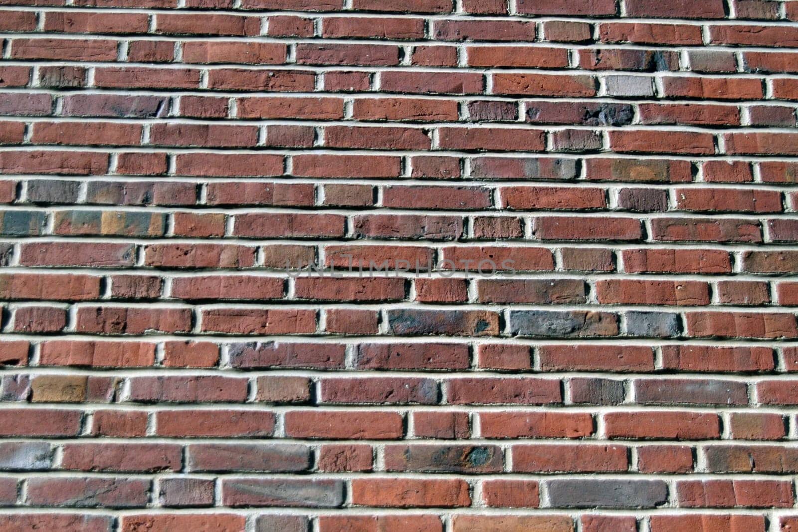 The Wall
