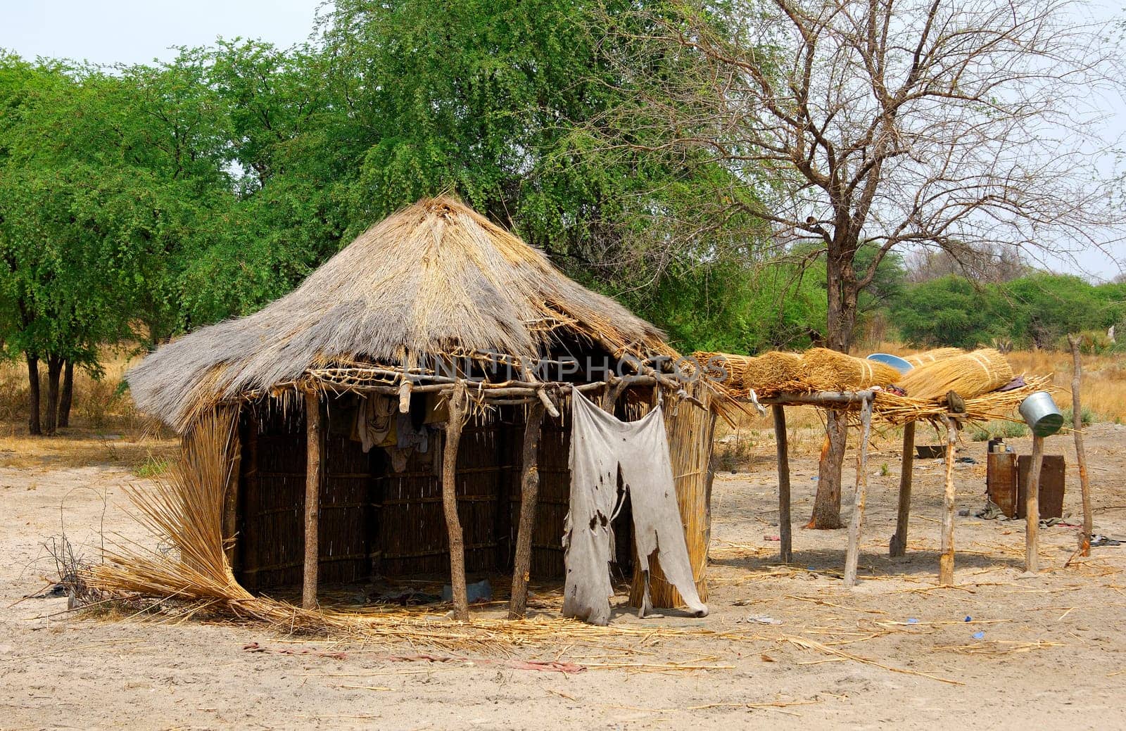 Reed-roofed hut in Africa,Botswana