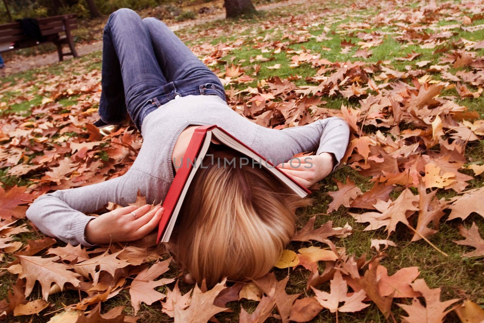 Leaves(s) in autumn