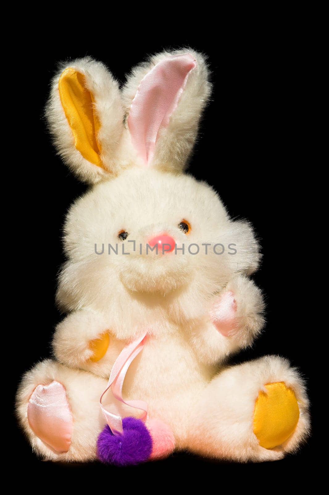Cuddly bunny