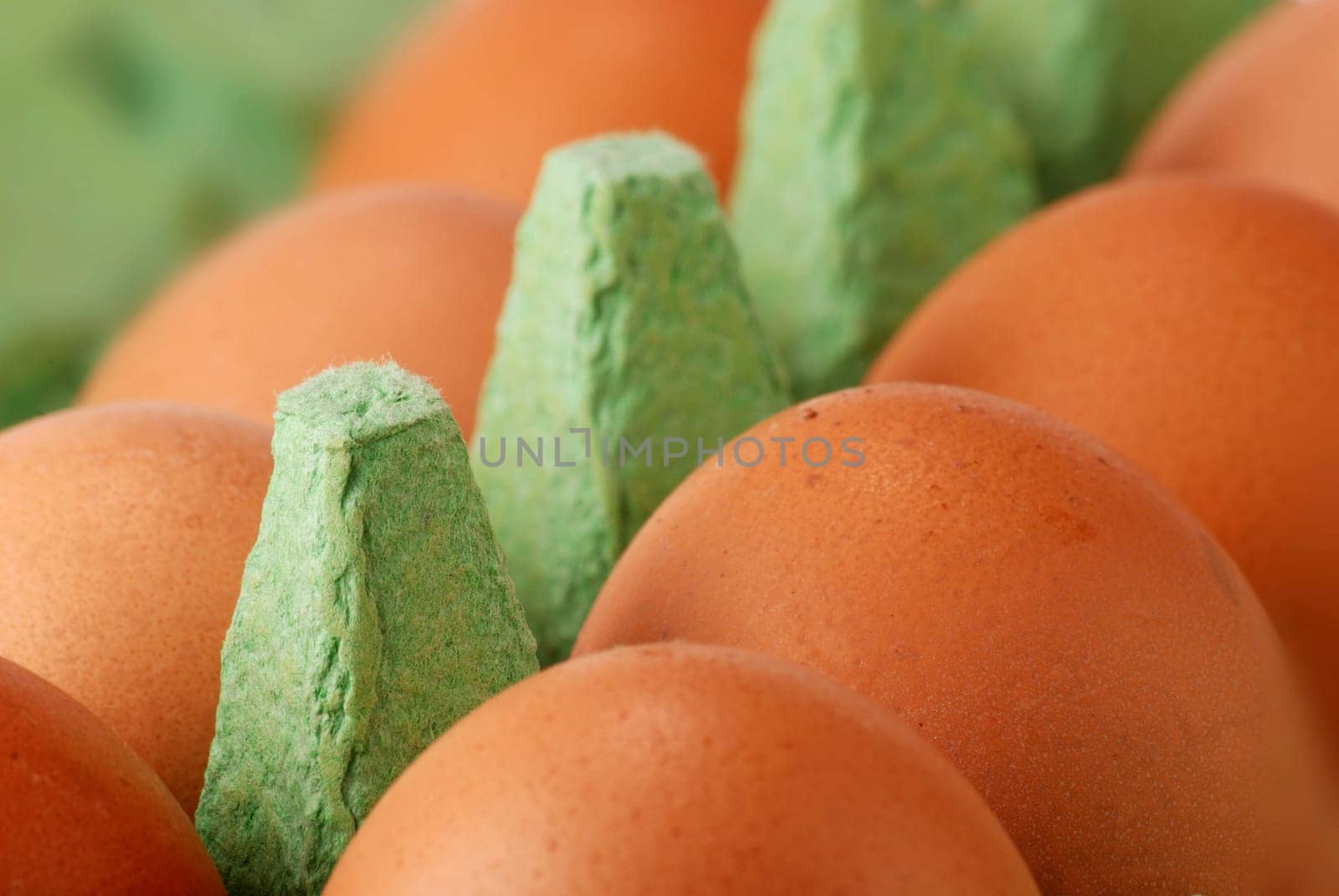 Eggs in a carton