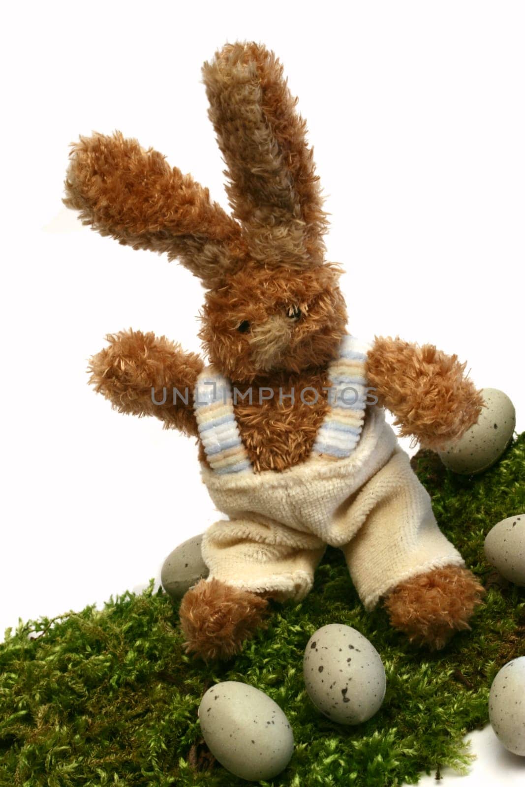 Easter Bunny