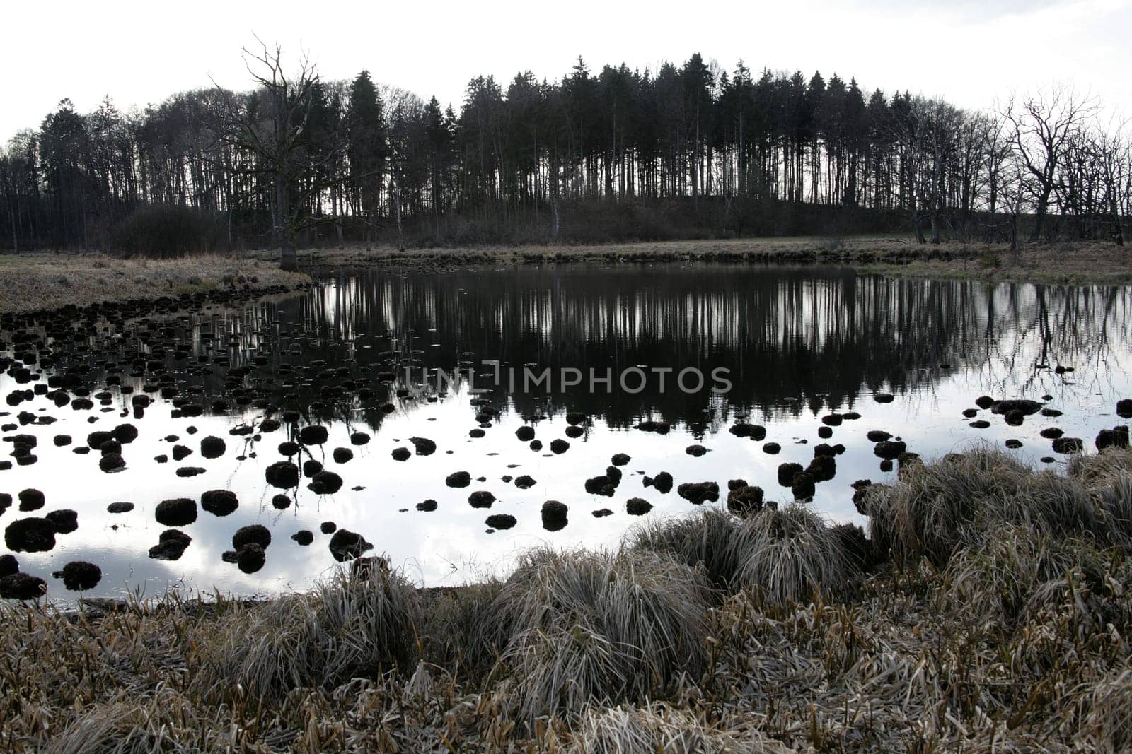 Moorsee