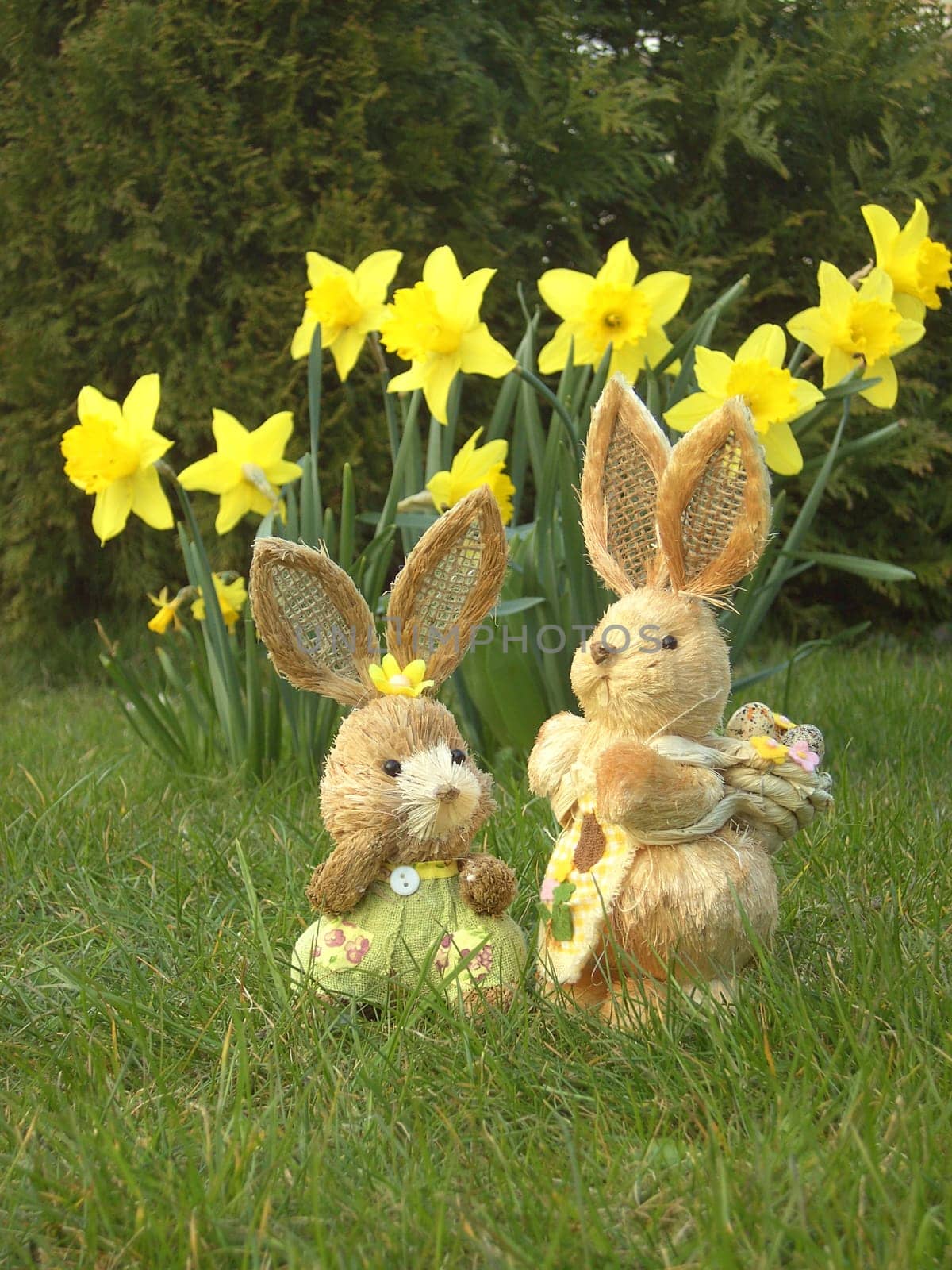 Easter Bunny 4