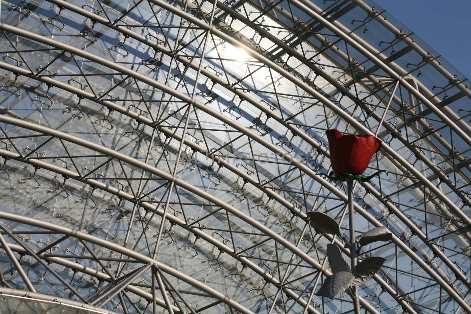 Detail of the main entrance with steel rose