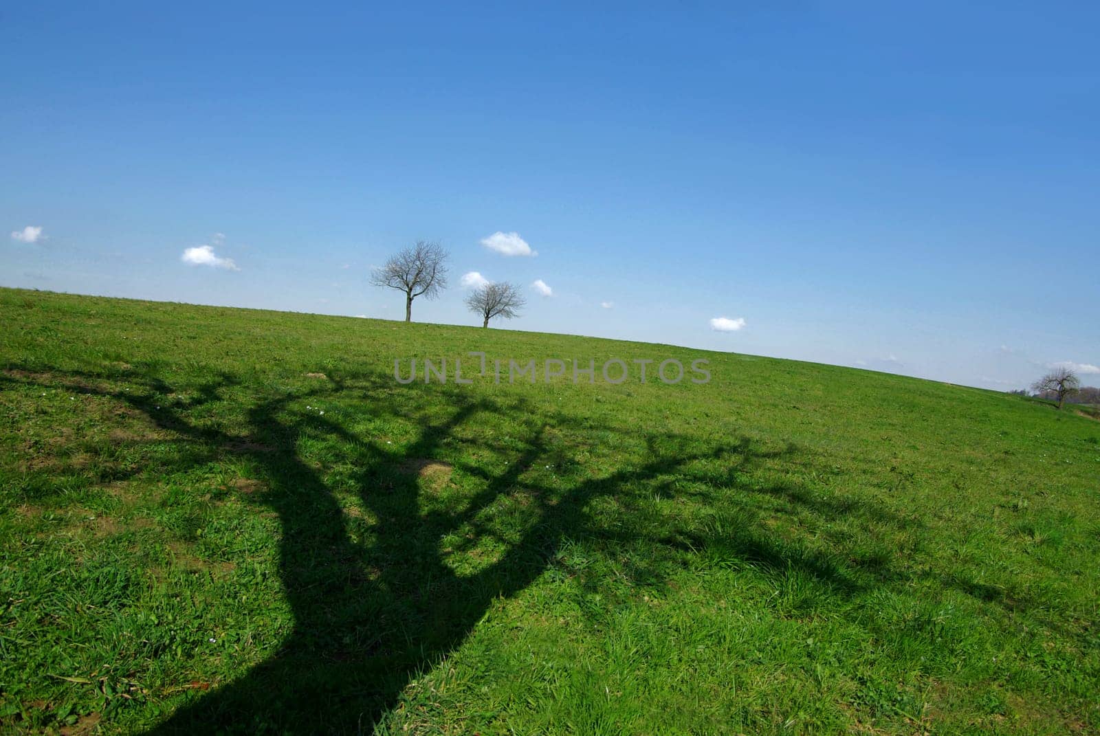 Shadow play