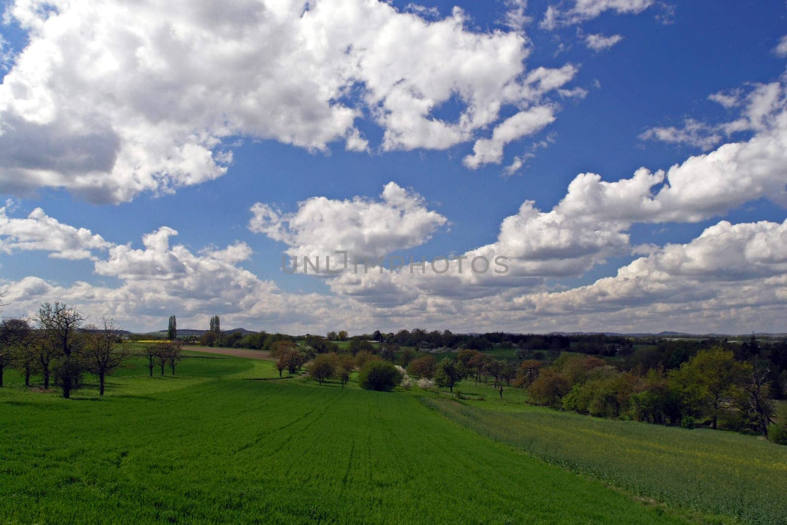 Spring Landscape