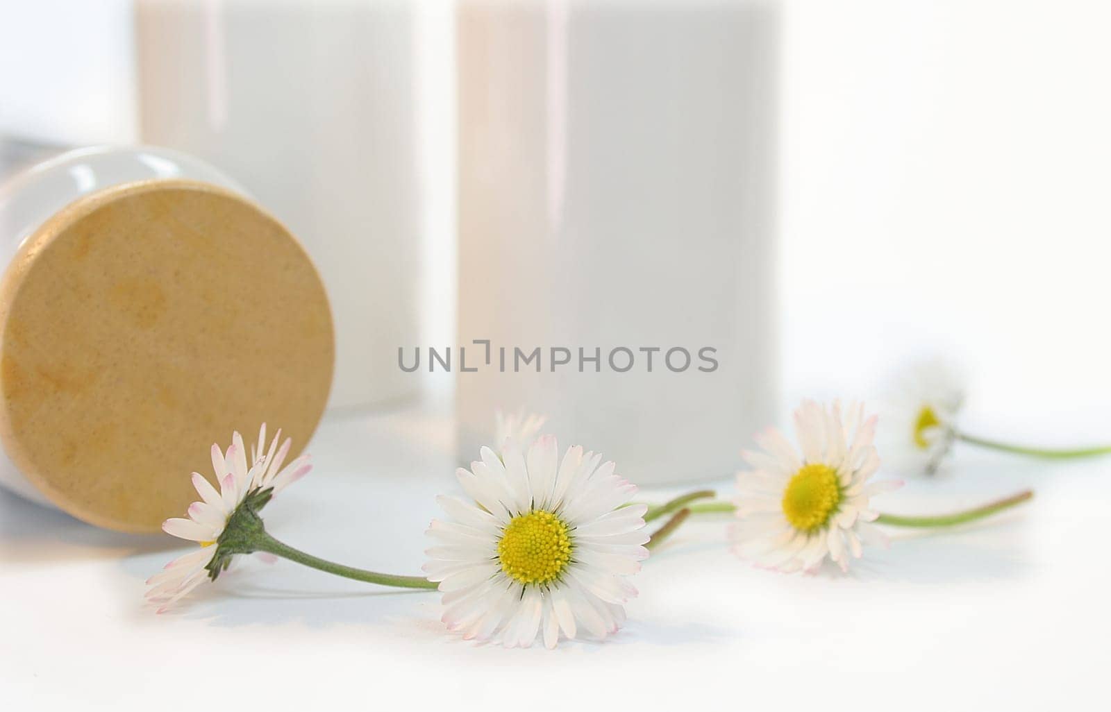 Daisy