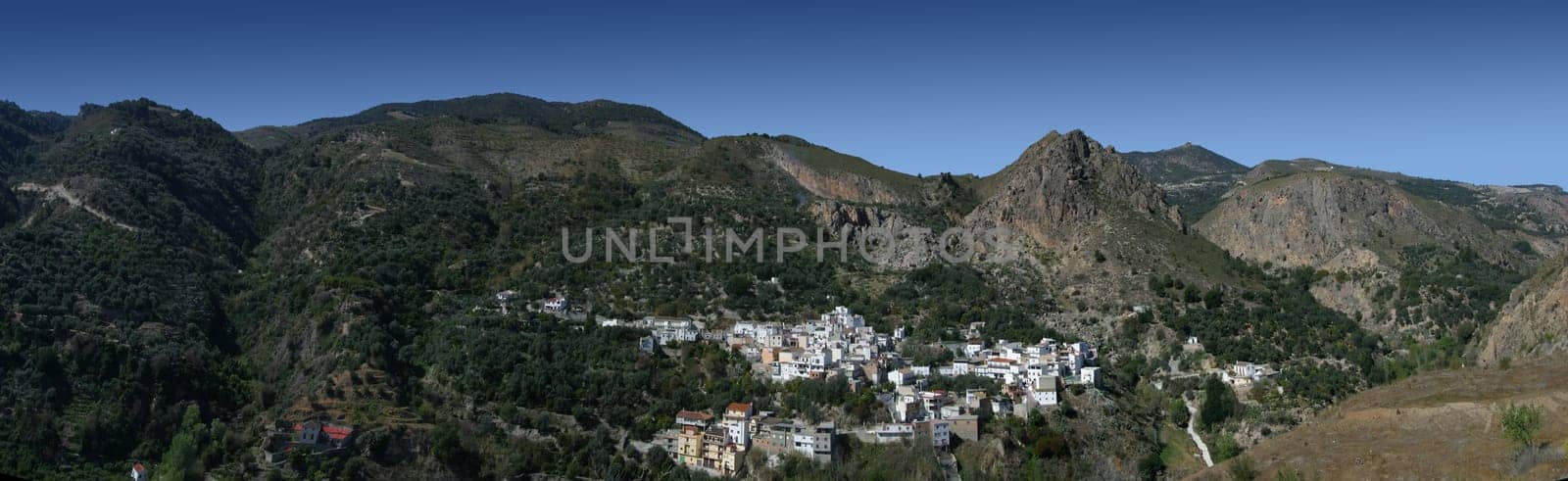 Izbor