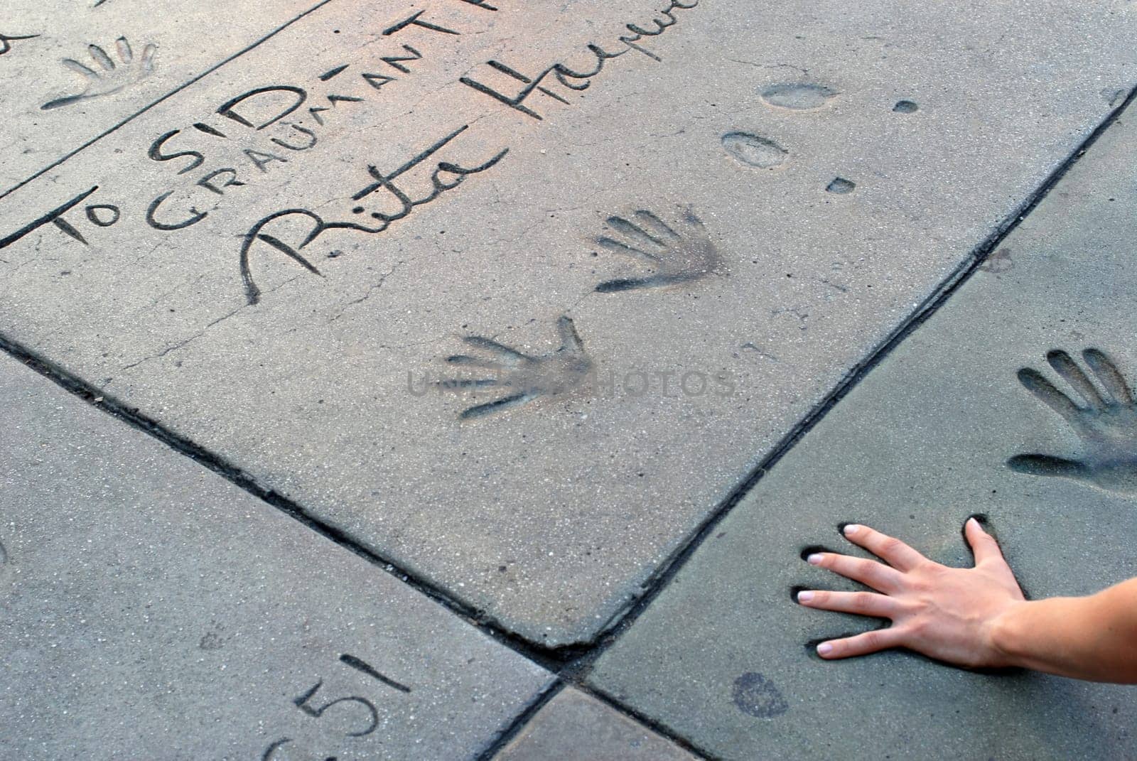 Chinese Theatre in Los Angeles,Hollywood