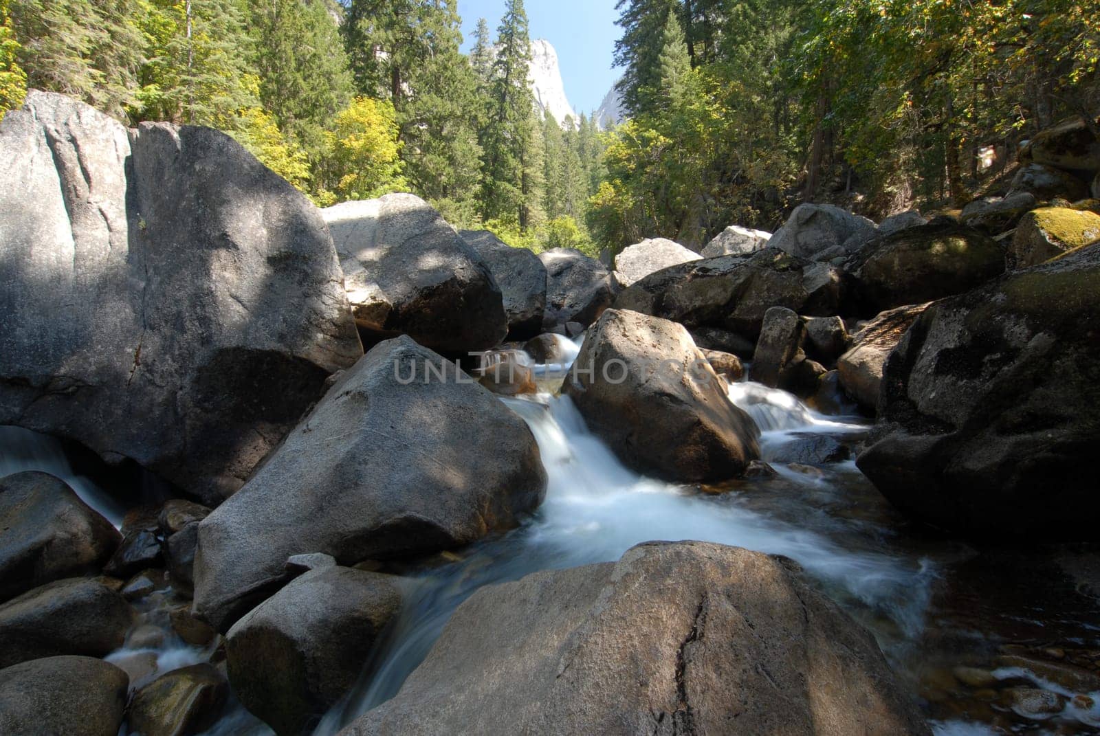 Yosemite National Park