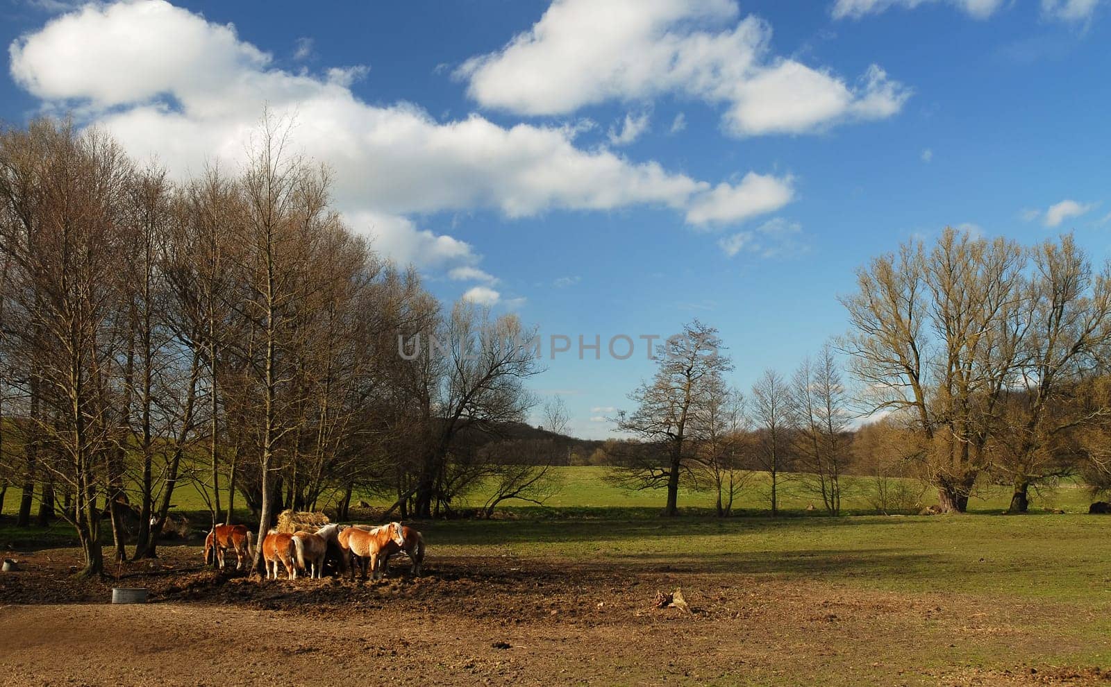 Today it was still quite nice from the weather and I was able to enjoy the country air around the corner after work....! From tomorrow it should rain again!