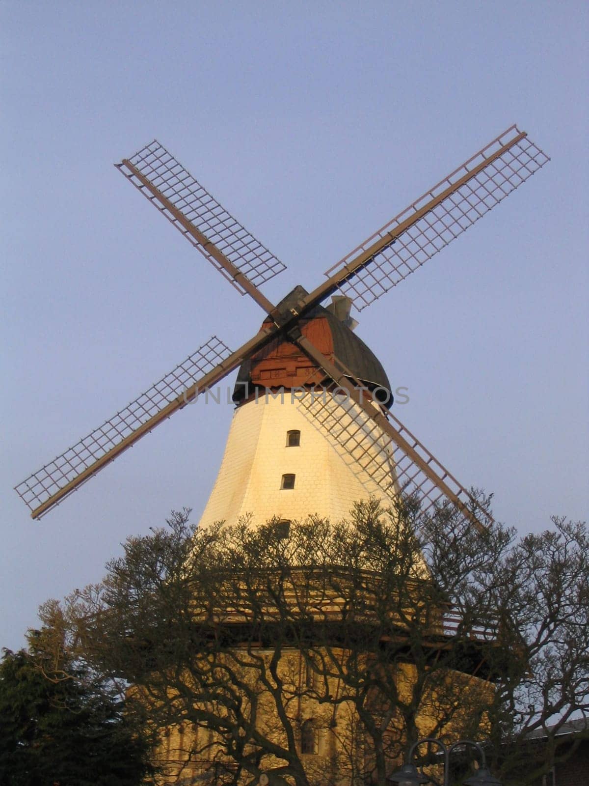 Windmill in winter