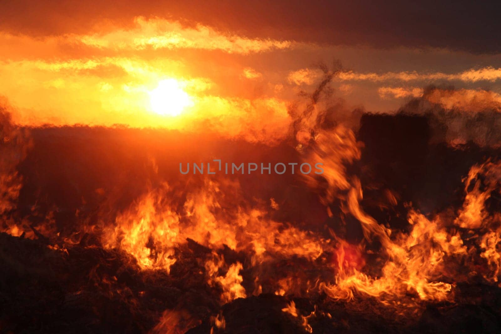 Easter Fire X