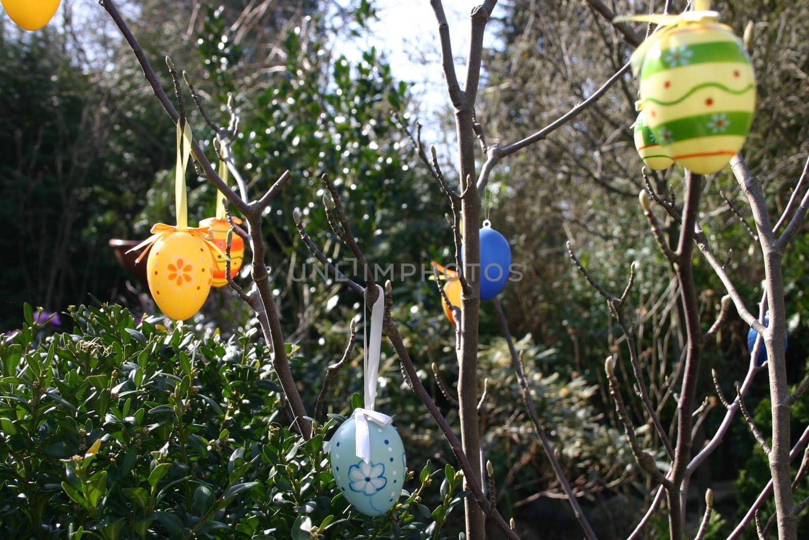 Easter bush