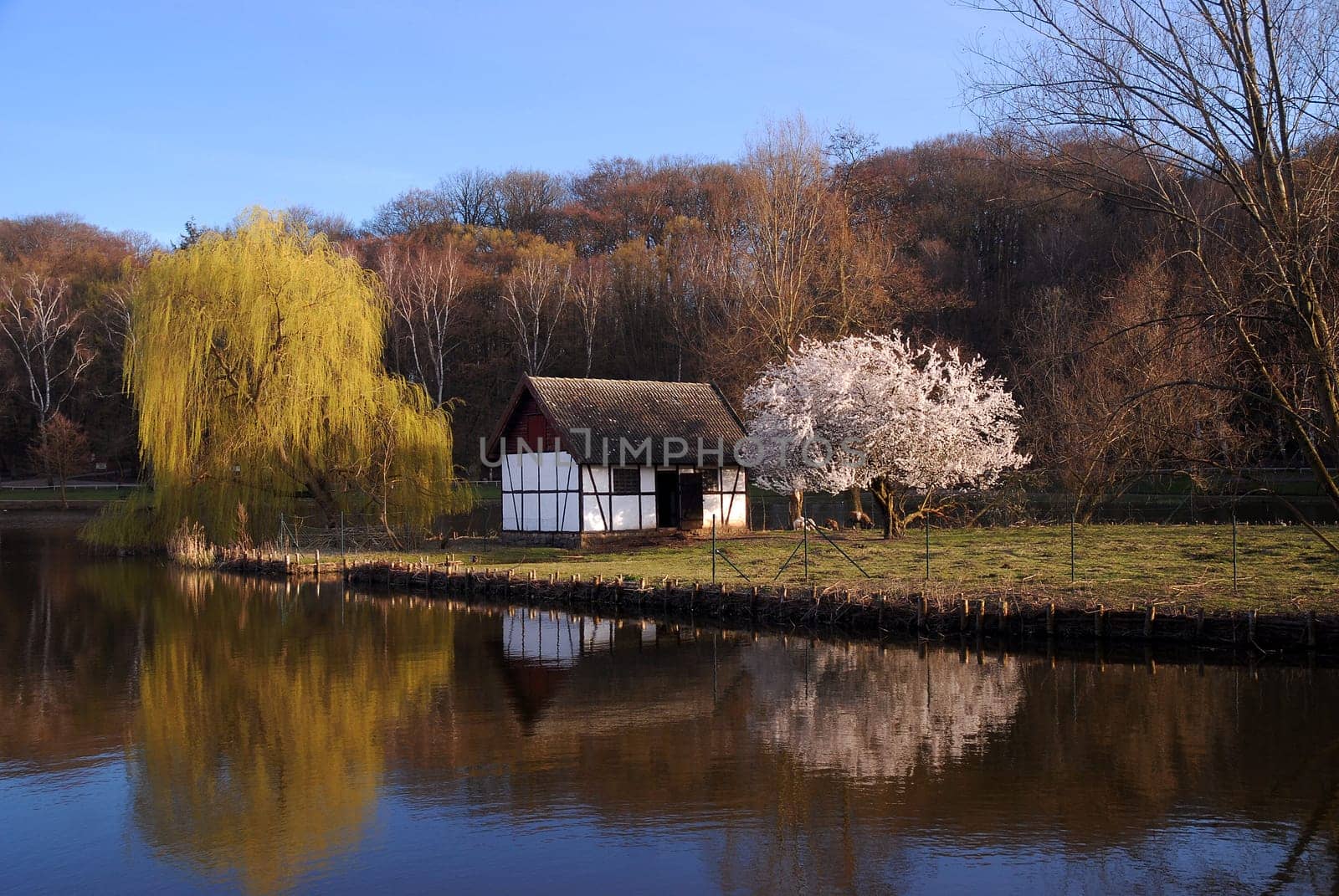 This is what it looked like during a walk around our village pond in the evening......!:-)