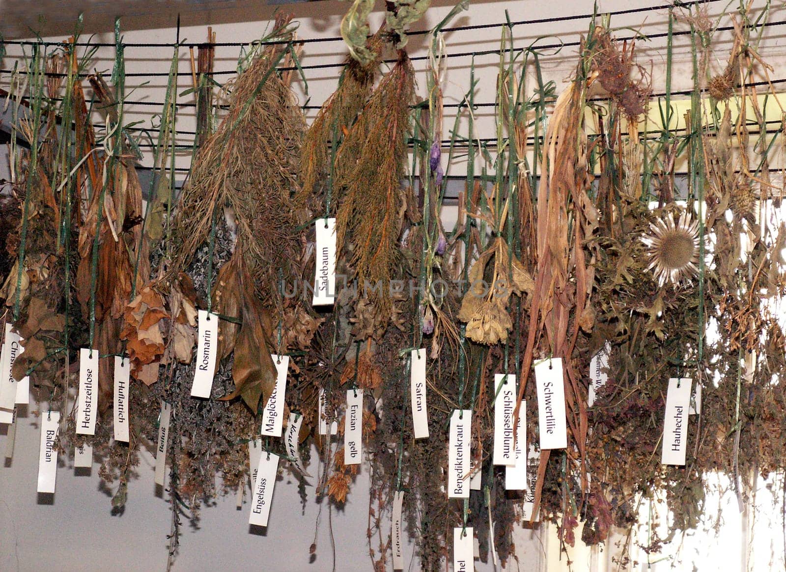 Dried herbs