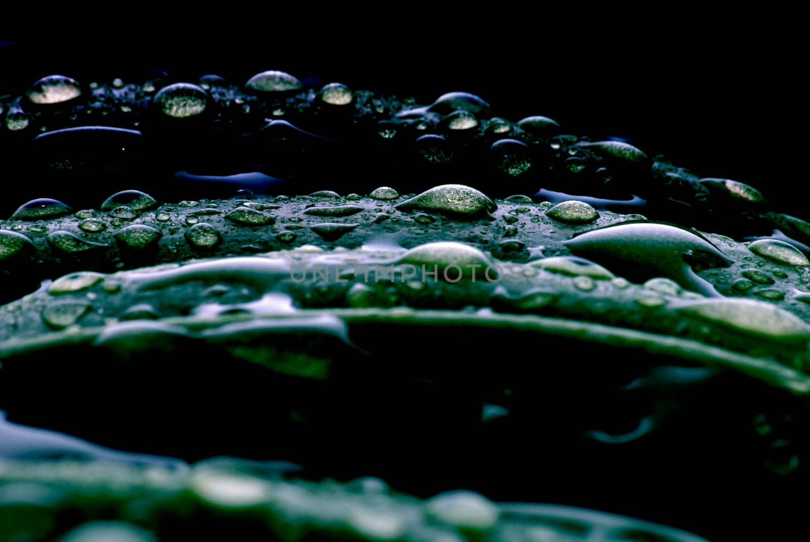 Waterdrop
