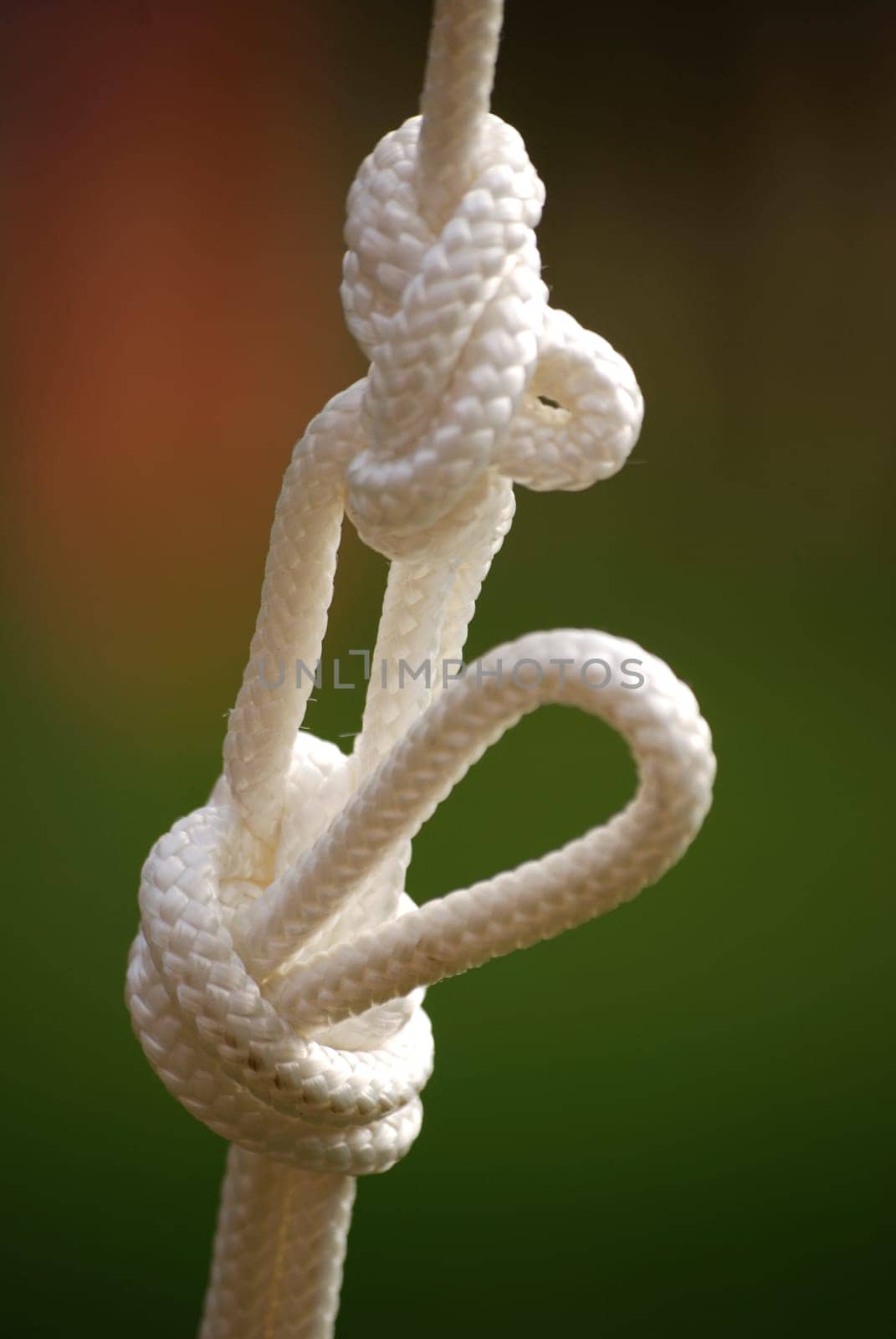 Node