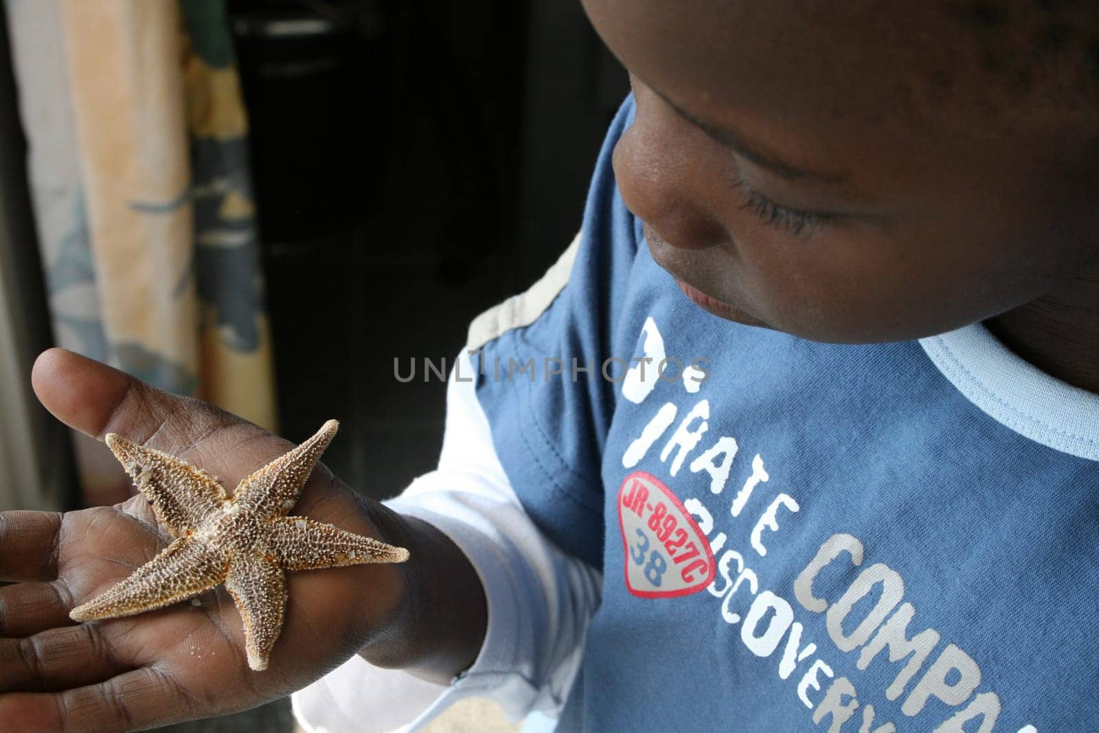 Starfish