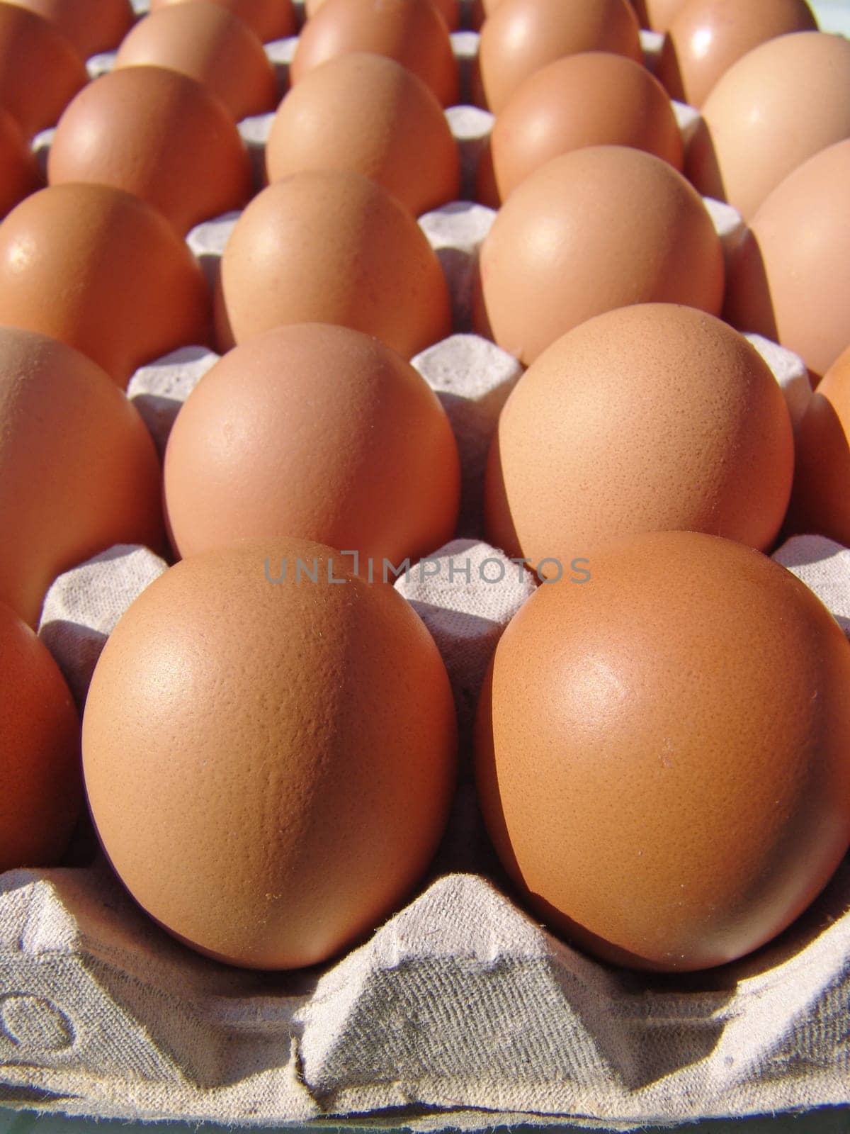 Brown eggs
