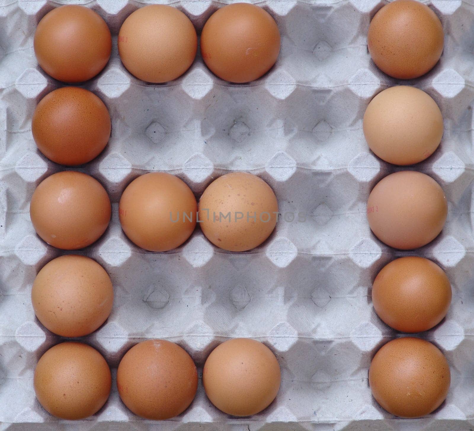 Egg
