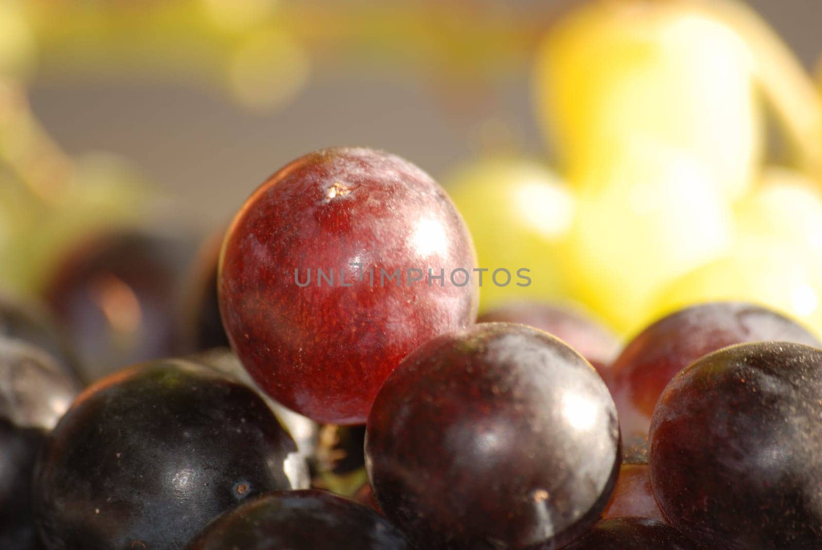 Grapes