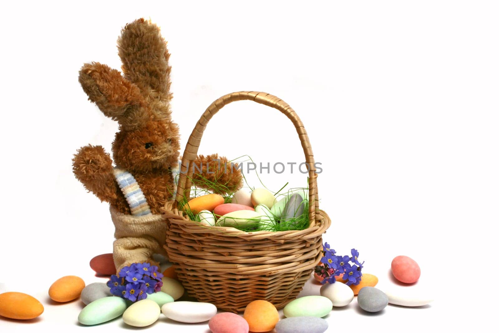 Rabbit