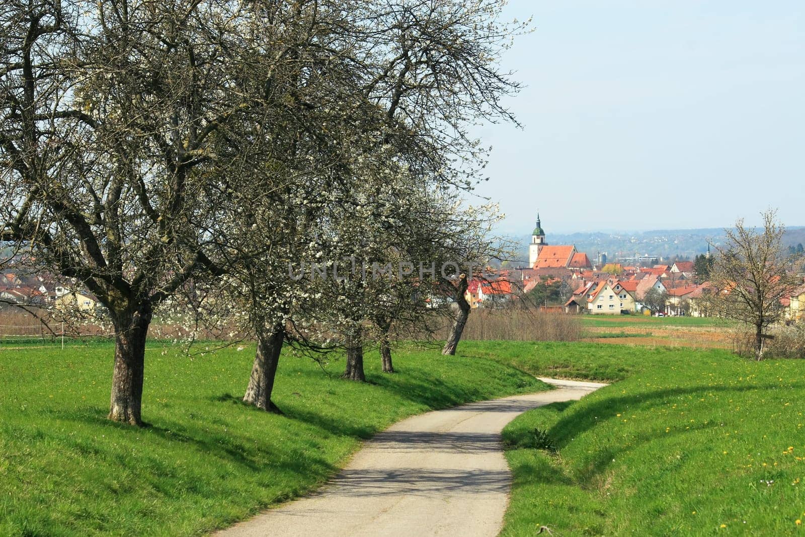 View from the orchards on the way to Häringen,Baden-Württemberg