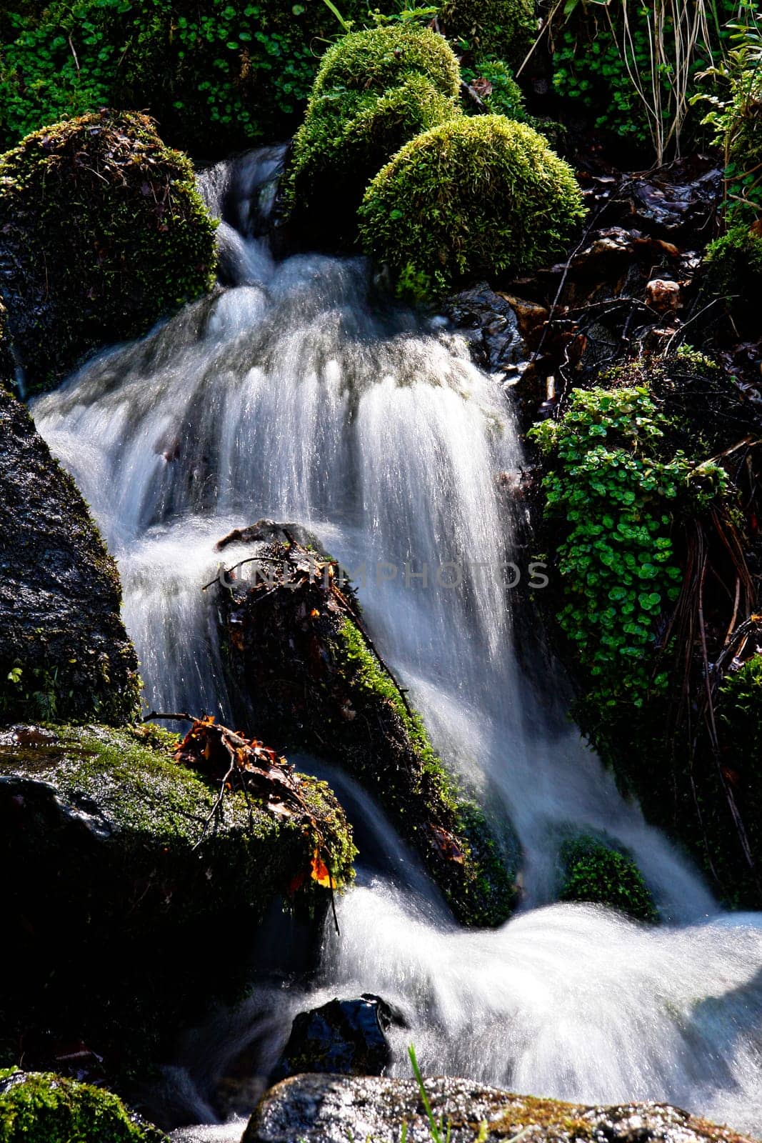 Torrent