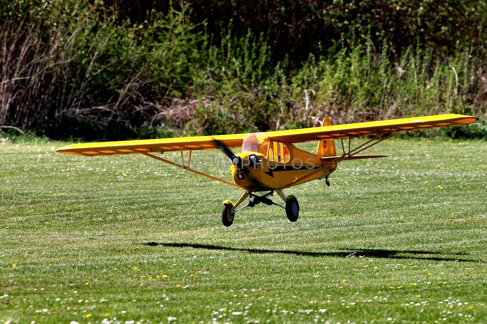 Model aircraft