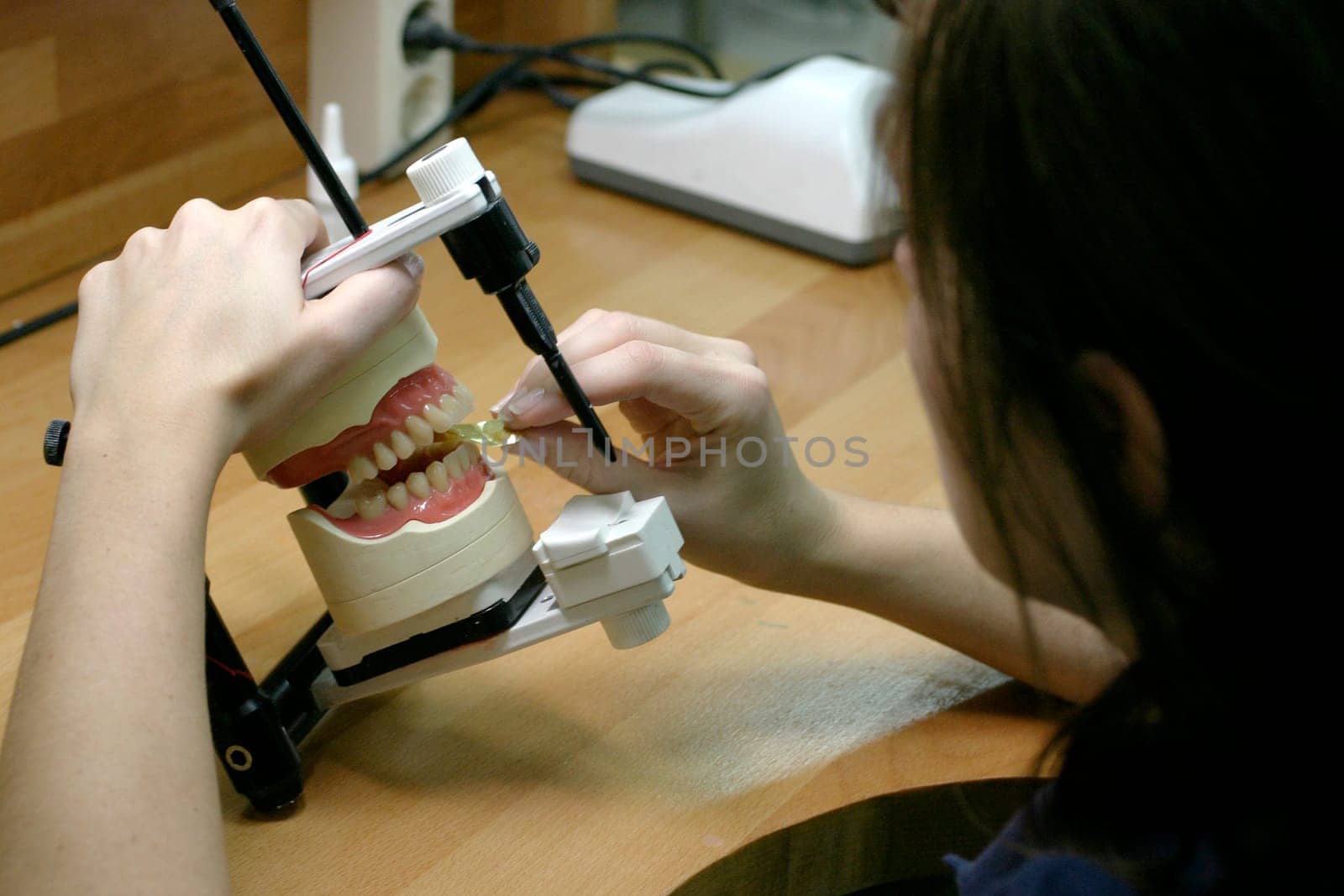 Young woman in dental laboratory