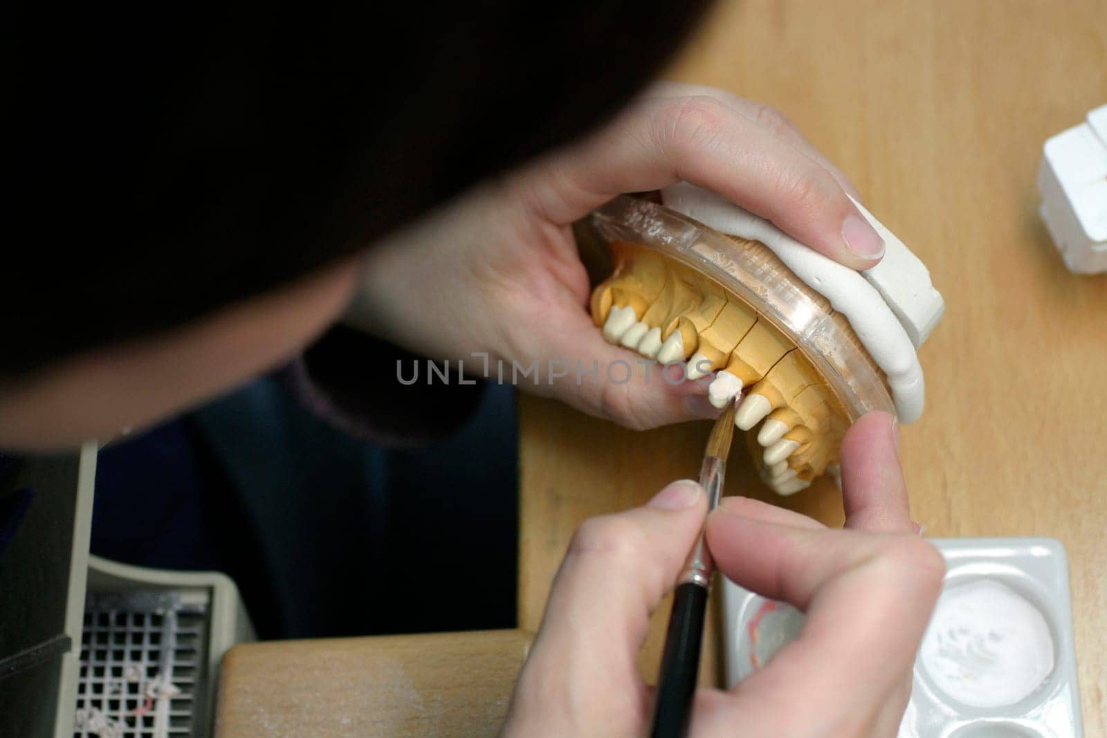 Tooth model of a jaw