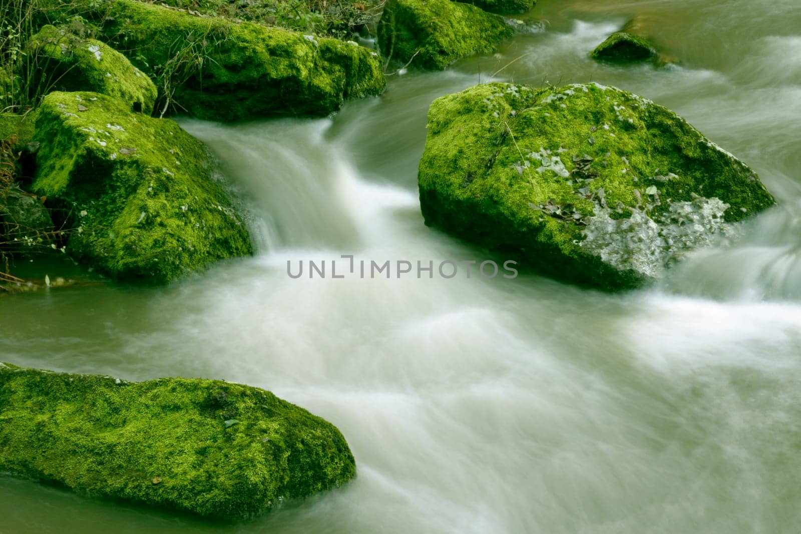Rapids with rocks