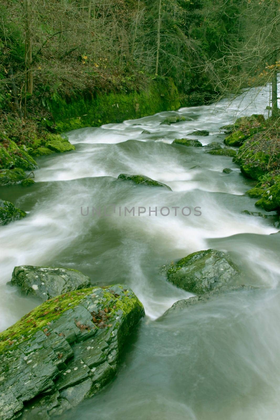 River with rocks