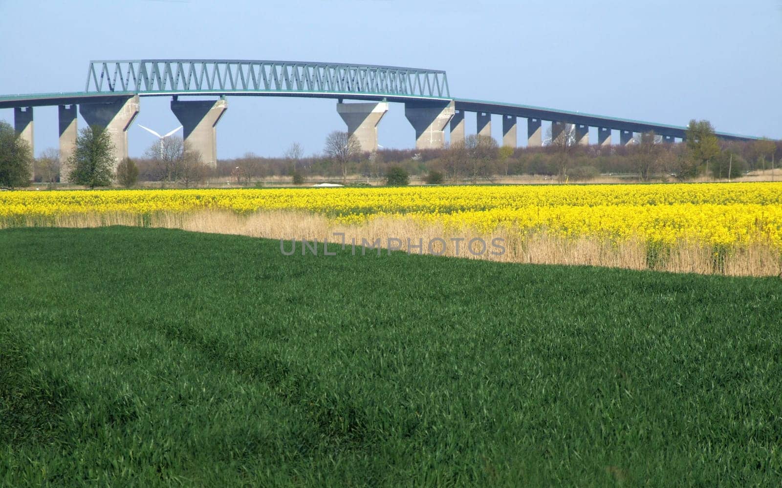 Bridge