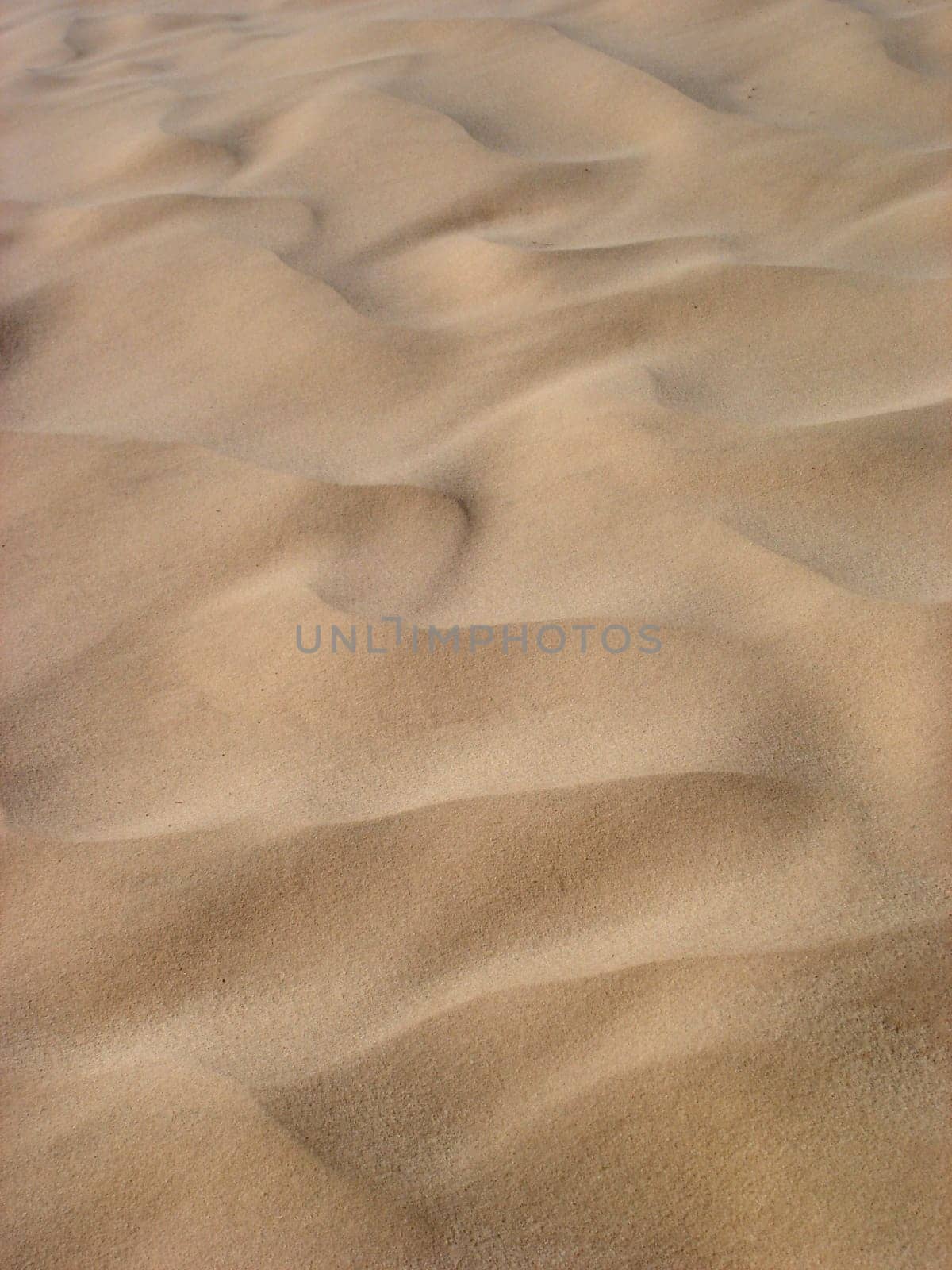 Sand structures in the Sahara