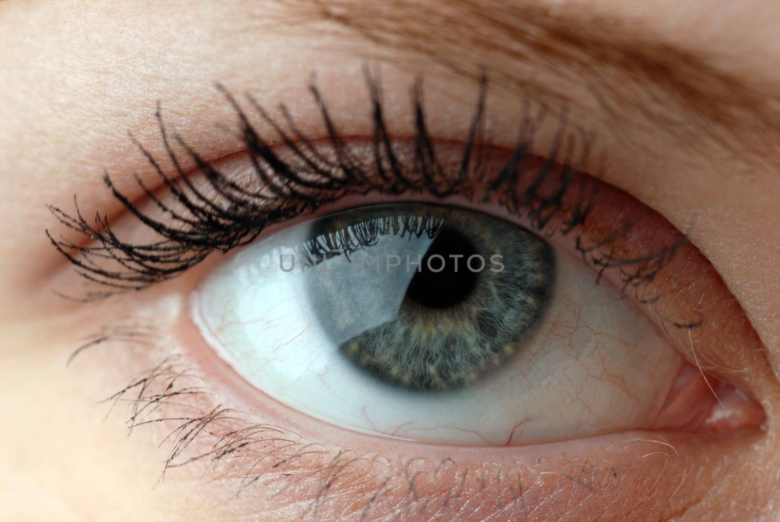 Female eye