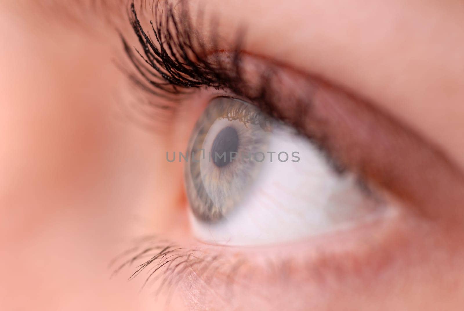 Female eye