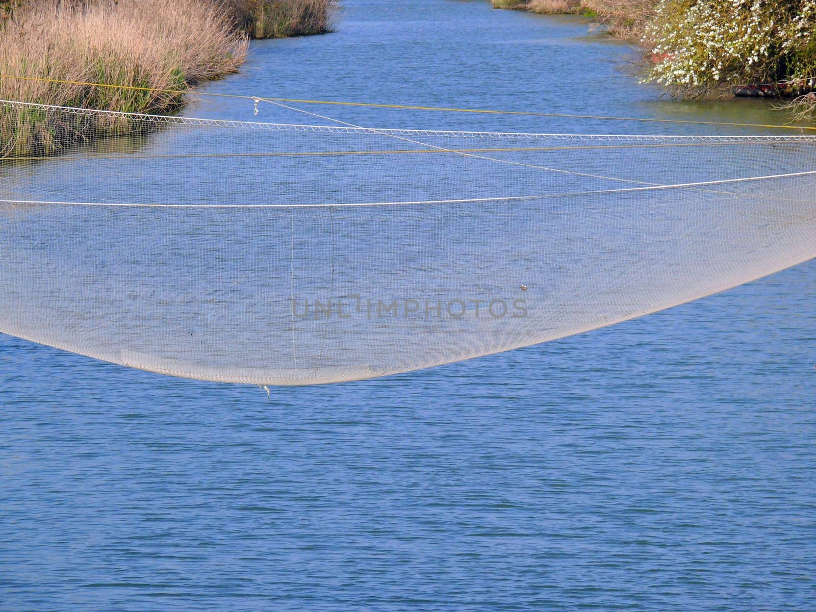 Canale